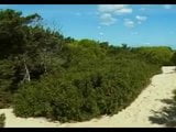 Spiaggia nudista - asiatiche con tette piccole analizzate e sborrata in faccia snapshot 10