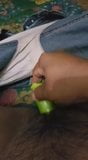 Thai mature thonbai big cucumber snapshot 1