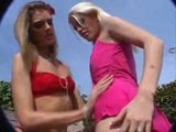 Brianna Love & Jessica Jammer - leck ihren Arsch von meinem Schwanz snapshot 1