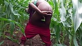 College Desi eunuch has a lot of fun in the corn cob field at dusk snapshot 15