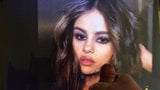 Selena Gomez tribute snapshot 8