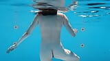 Halka açık yüzme havuzunda ateşli piliç tek başına ve ıslak snapshot 3