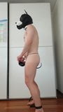 Puppy lad posing in thong and puppy tail showing cock & ass snapshot 5