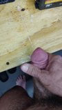 Nut busting on bench snapshot 2