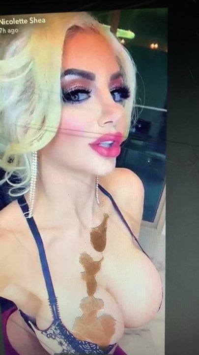 Omagiu lui Nicolette Shea