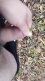 Wanking naked in the wild snapshot 4