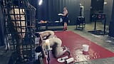 Dominatrix Mistress April - Trzej niewolnicy z jednym batem! snapshot 18