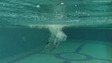 Irina Russaka aka Stefanie Moon underwater swimming snapshot 16