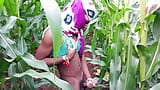 College Desi eunuch has a lot of fun in the corn cob field at dusk snapshot 12