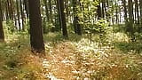 Ein schönes deutsches Teenie-Mädchen wird im Wald geknallt snapshot 1