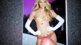 Candice Swanepoel tribute 2 snapshot 1