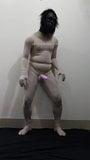 Zentai gorila máscara pene desnudo danza femdom esclavo snapshot 1