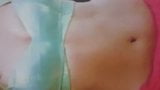 Shriya Navel Cum Tribute snapshot 1