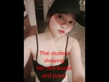 Papatsara thai girl shows her big boobs and pussy snapshot 1