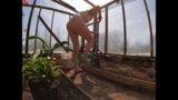 Naked Greenhouse Worker Planting Cacti snapshot 3