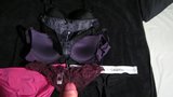 Cumming on panties, bra and bodysuit snapshot 2