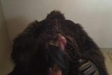 gorilla wanking snapshot 14