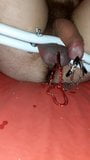 Cock and Ball torture in selfmade humbler snapshot 4