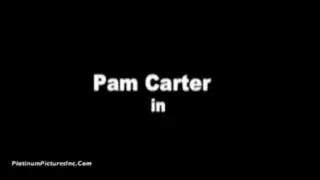 2 perras | xHamster