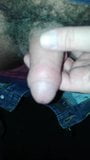 uncut hairy cock...joaca cu pula nebelita snapshot 1