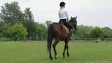 École d'équitation snapshot 1