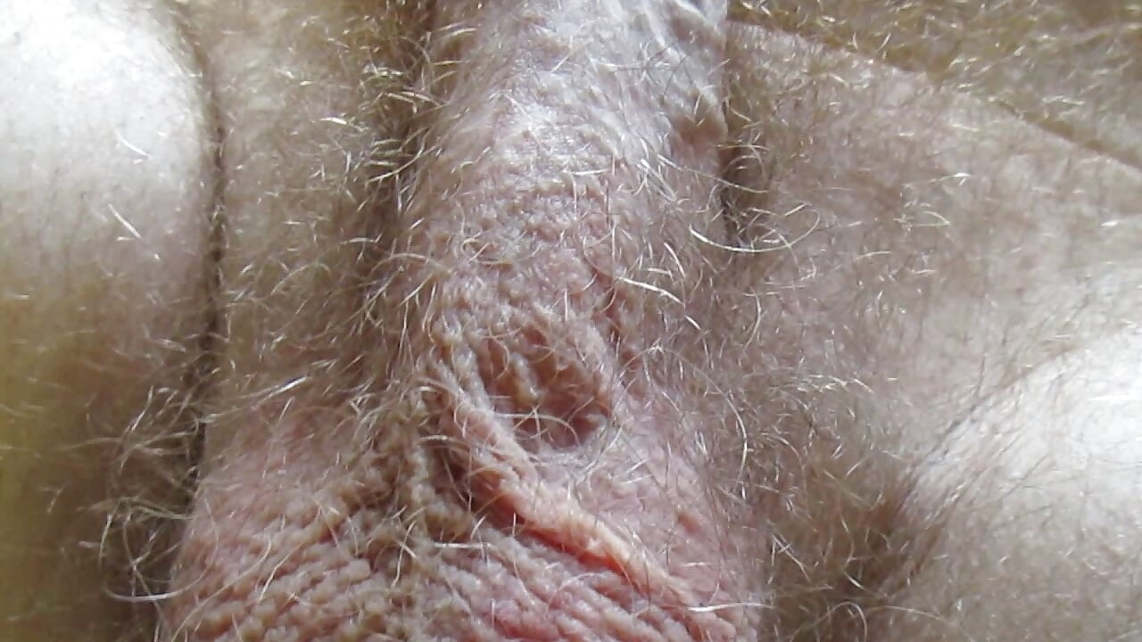 Hairyartist memberikan awak layanan berbulu