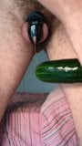 cb6000s chastity device while riding a big cucumber snapshot 2