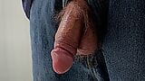 Semi Hard Cock Hanging out of Jeans snapshot 1