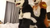 play fursuit with friend snapshot 3