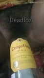 Fox bengalese coppia fa sesso con dildo snapshot 3