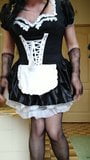 Sissymaid snapshot 5