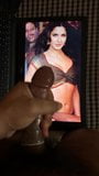 Katrina kaif cum tributo snapshot 2