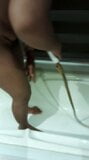 Sexo en el baño snapshot 2