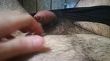 My tiny uncut cock cums on my fat hairy belly snapshot 1