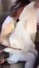 Sexy Pakistani Actress Neelam Muneer Porn Videos | xHamster