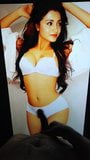 Trisha Krishnan cumtribute bedekt met een enorme lading cumshots snapshot 3