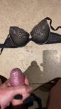 Jerk and cum on wifes bra snapshot 5