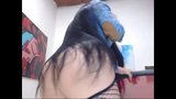 Sexy Long Haired Colombian Striptease, Long Hair, Hair snapshot 3