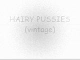 Hairy Pussies (vintage) snapshot 1