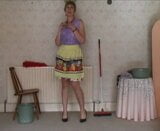 Cleaning Lady strip snapshot 4