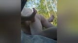 Stranger fucks chubby wife in car snapshot 16