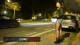 Boquete em um carro com uma prostituta snapshot 3