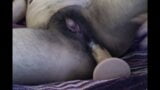 Intenso orgasmo anal con chorros snapshot 8