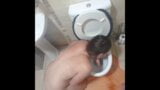 Toilettensklave lutscht Schwanz und pisst mit Dildo, Kopfspülung snapshot 5