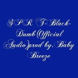 SPR T-Black- Dumb(official Audio) snapshot 4