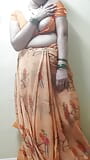 Indische huisvrouw in saree snapshot 3