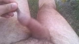 My foreskin cock outdoors snapshot 2