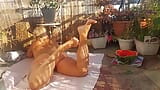 Selena's Naked Outdoor Posing and Feet Worship snapshot 2