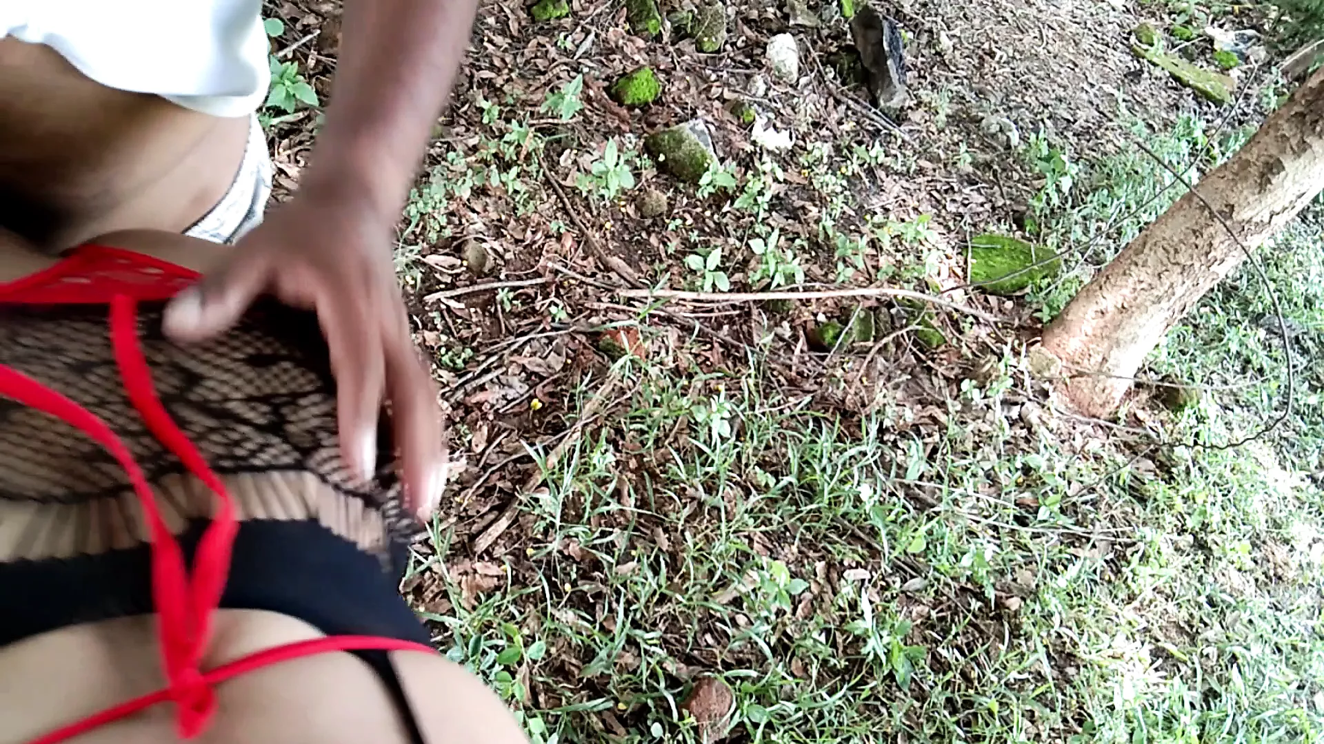 Jungle me mangal caught