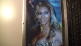 Трибьют спермы для Beyonce snapshot 5